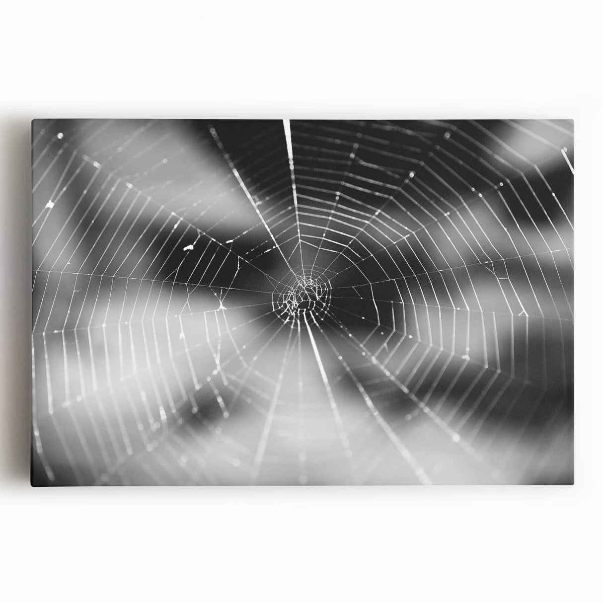 Close-up of a vibrant insect illustration showcasing intricate details, featuring vivid colors and textures, perfect for nature enthusiasts and art lovers.