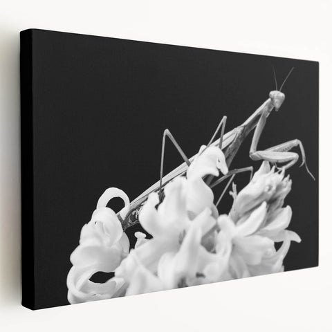 Colorful insect illustration showcasing a vibrant butterfly perched on a leaf, capturing intricate wing patterns and natural details, ideal for educational or decorative use.