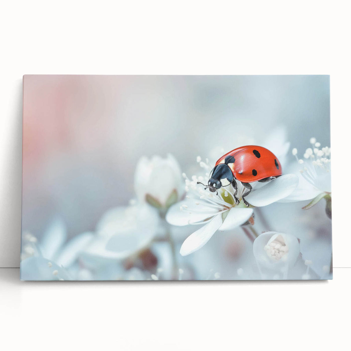 Close-up of a vibrant insect illustration with intricate details, showcasing vivid colors and fine lines, ideal for nature-themed decor or educational use.