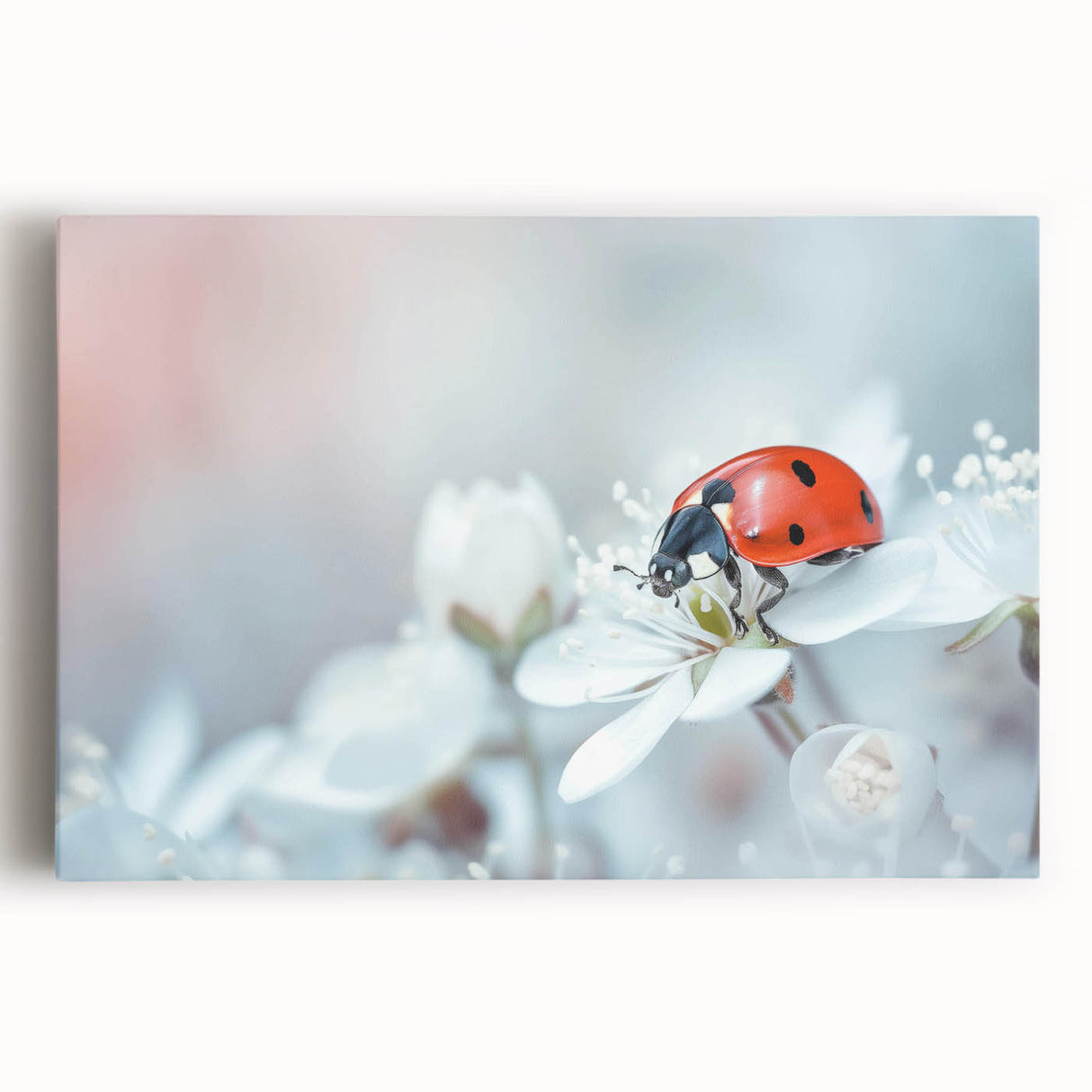 Close-up of a vibrant insect-themed wall art print, showcasing detailed illustrations of various insects in vivid colors, perfect for nature enthusiasts and home decor.