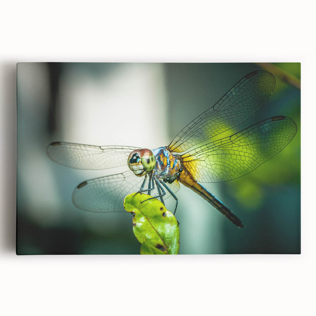 Close-up of a vibrant insect-themed canvas print showcasing detailed illustrations of various insects in natural colors, designed for nature lovers and art enthusiasts.