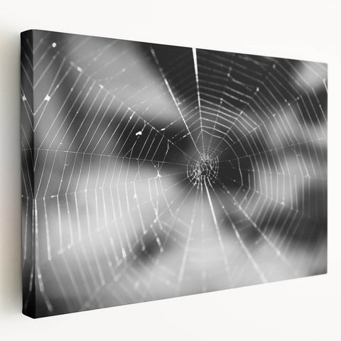 Close-up of a vibrant insect illustration showcasing detailed patterns and colors, ideal for educational purposes or nature-themed decor.