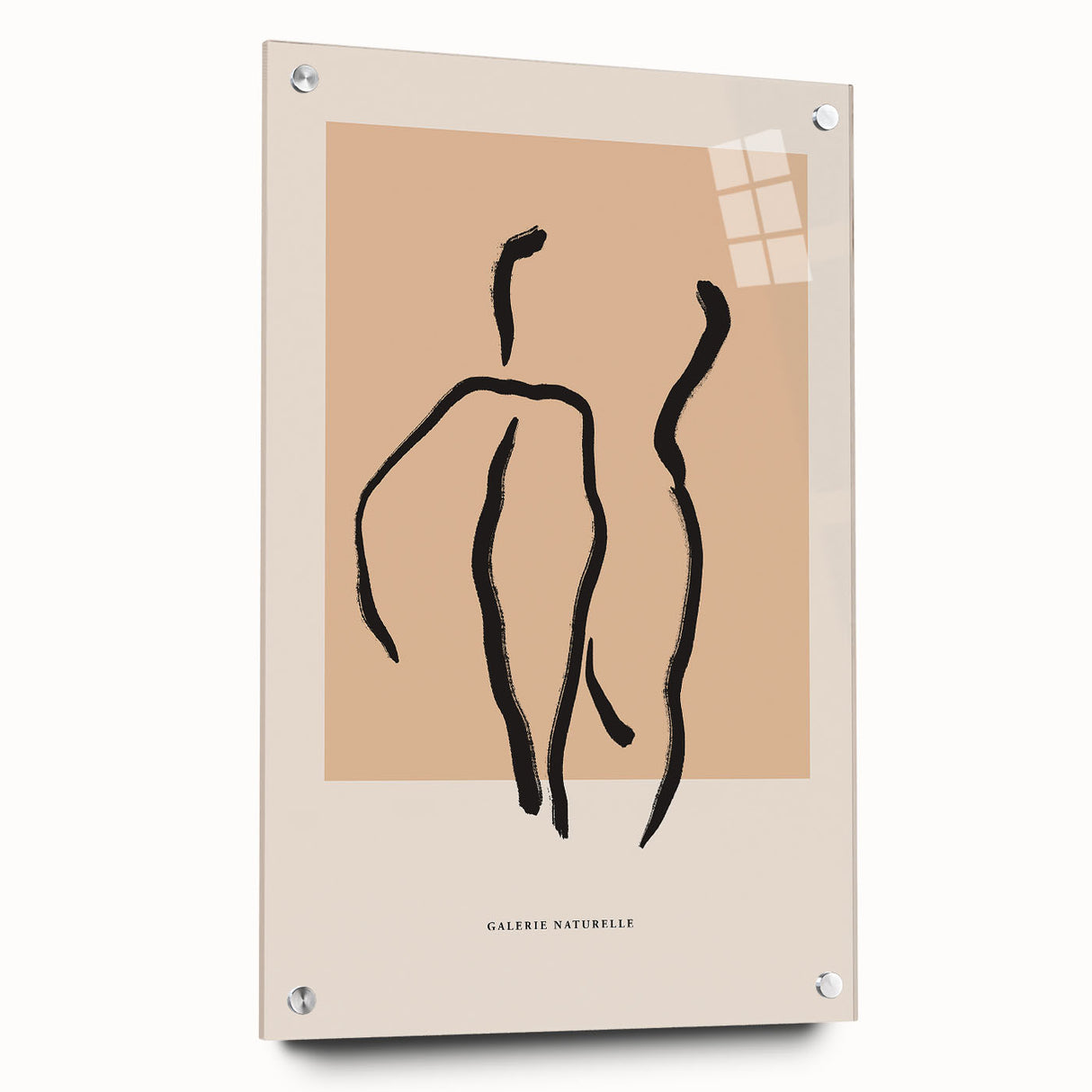 Acrylic glass wall art featuring an abstract minimalist design with a sleek side view, secured with decorative pins, ideal for modern decor.