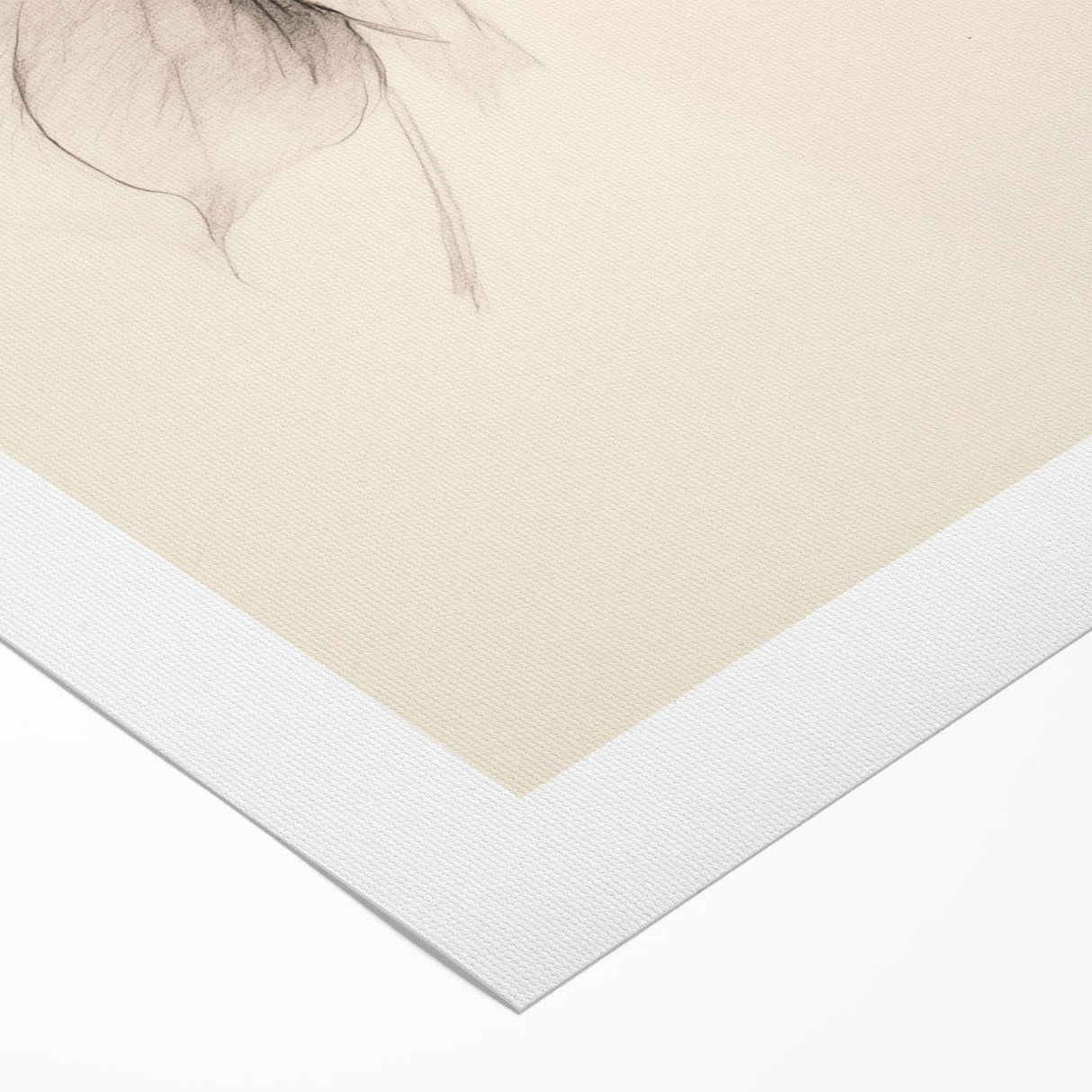 Abstract minimalist wall art collection on rolled canvas, showcasing soft pastel colors and geometric shapes, ideal for modern home decor and aesthetic enhancement.