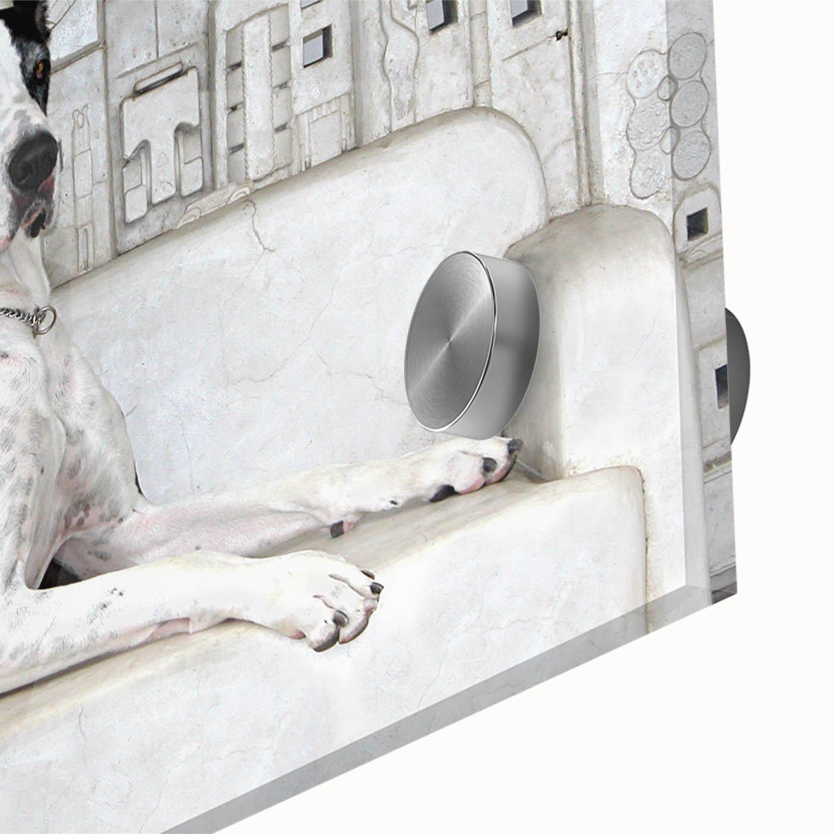 Close-up of a vibrant acrylic wall art piece depicting a playful dog design, showcasing intricate details and lively colors, perfect for animal lovers' decor.