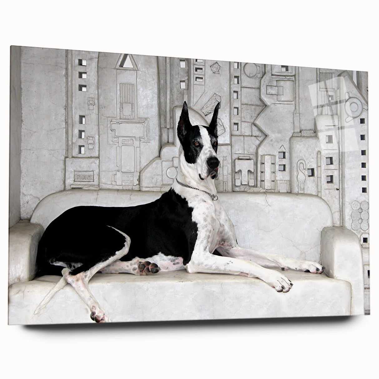 Acrylic wall art featuring a vibrant design of playful dogs in a wild animal theme, displayed from the side, showcasing its sleek edges and modern aesthetic. Perfect for animal lovers and home décor enthusiasts.