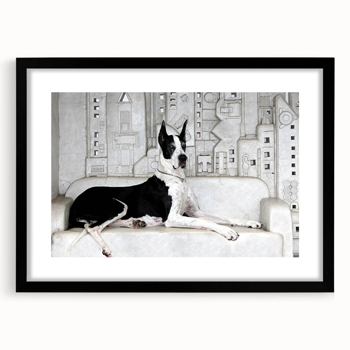 Black-framed wall art featuring a vibrant collection of wildlife dog designs, showcasing detailed illustrations and a modern aesthetic, ideal for animal lovers' decor.