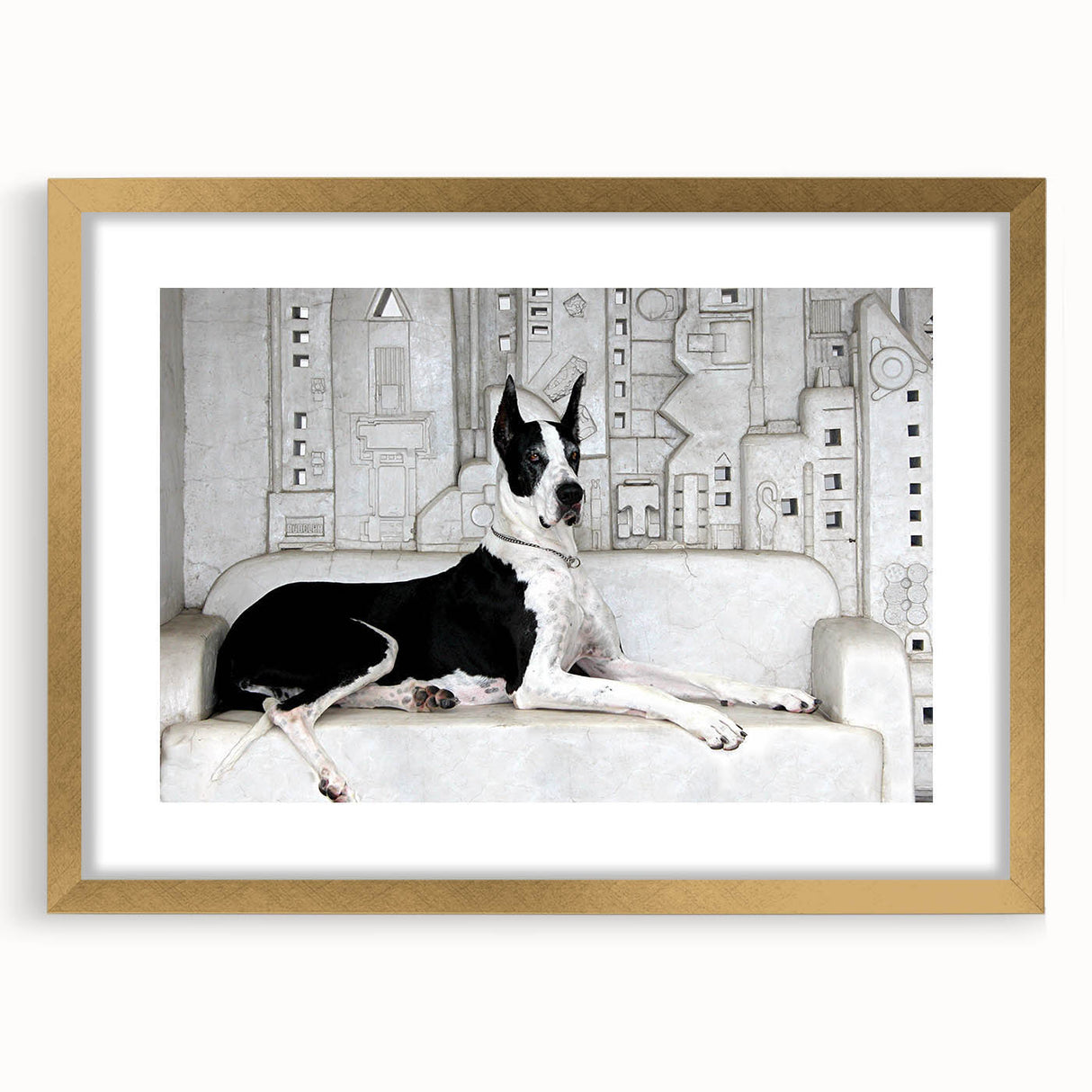 Framed wall art collection featuring a stunning design of various wild dogs, presented in a gold frame with a mat, showcasing vibrant colors and intricate details, ideal for animal lovers and home decor enthusiasts.