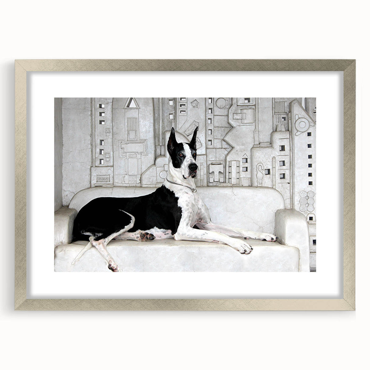 Framed wall art collection featuring a stylish dog design in a silver frame with a mat, showcasing detailed illustrations of various dog breeds, perfect for animal lovers' decor.