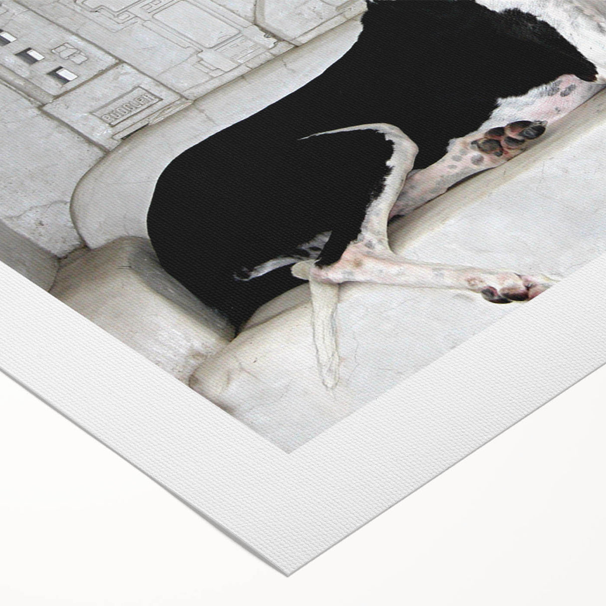 Rolled canvas wall art showcasing a vibrant collection of dogs in a wild-life theme, featuring rich colors and intricate details, perfect for home decor enthusiasts.