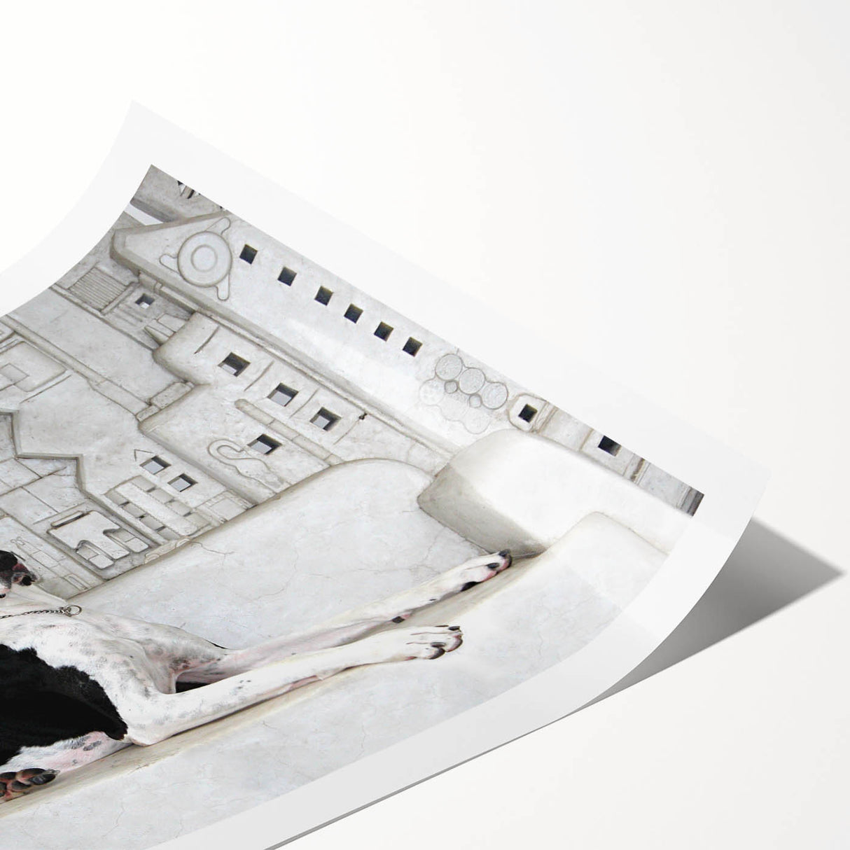 Vibrant wall art print featuring playful illustrations of various dog breeds, showcasing their unique characteristics and colors. Ideal for dog lovers and home decor enthusiasts, this rolled design adds a whimsical touch to any space.