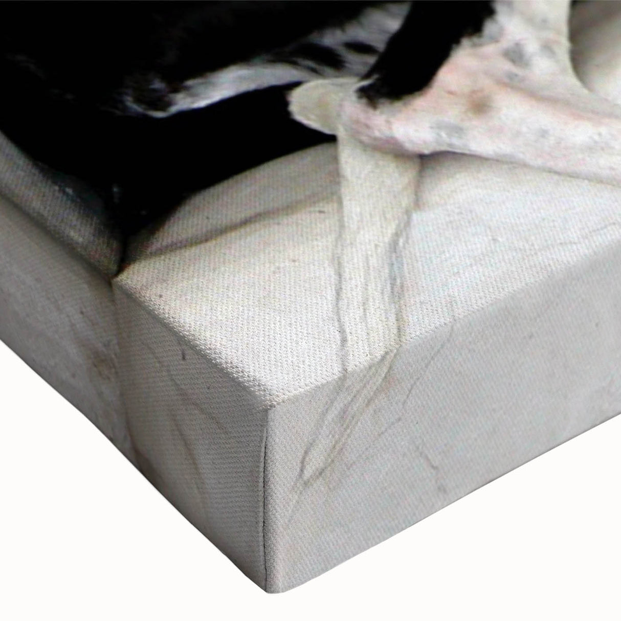 Close-up of a vibrant stretched canvas wall art featuring a playful dog design from the "Animals A Wild Life" collection, showcasing rich colors and detailed textures, perfect for pet lovers and home decor enthusiasts.