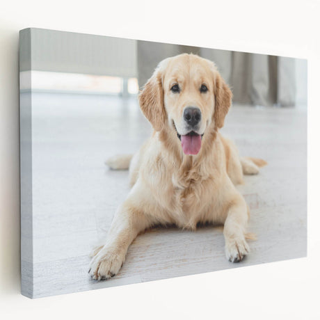 Stretched canvas artwork showcasing a vibrant collection of wild dog designs, featuring rich colors and intricate details, perfect for animal lovers' home decor.