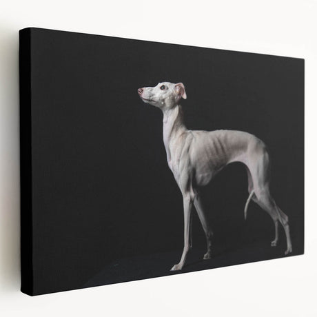 Stretched canvas wall art showcasing a vibrant design of playful dogs in a wild setting, featuring rich colors and detailed textures, ideal for pet lovers.