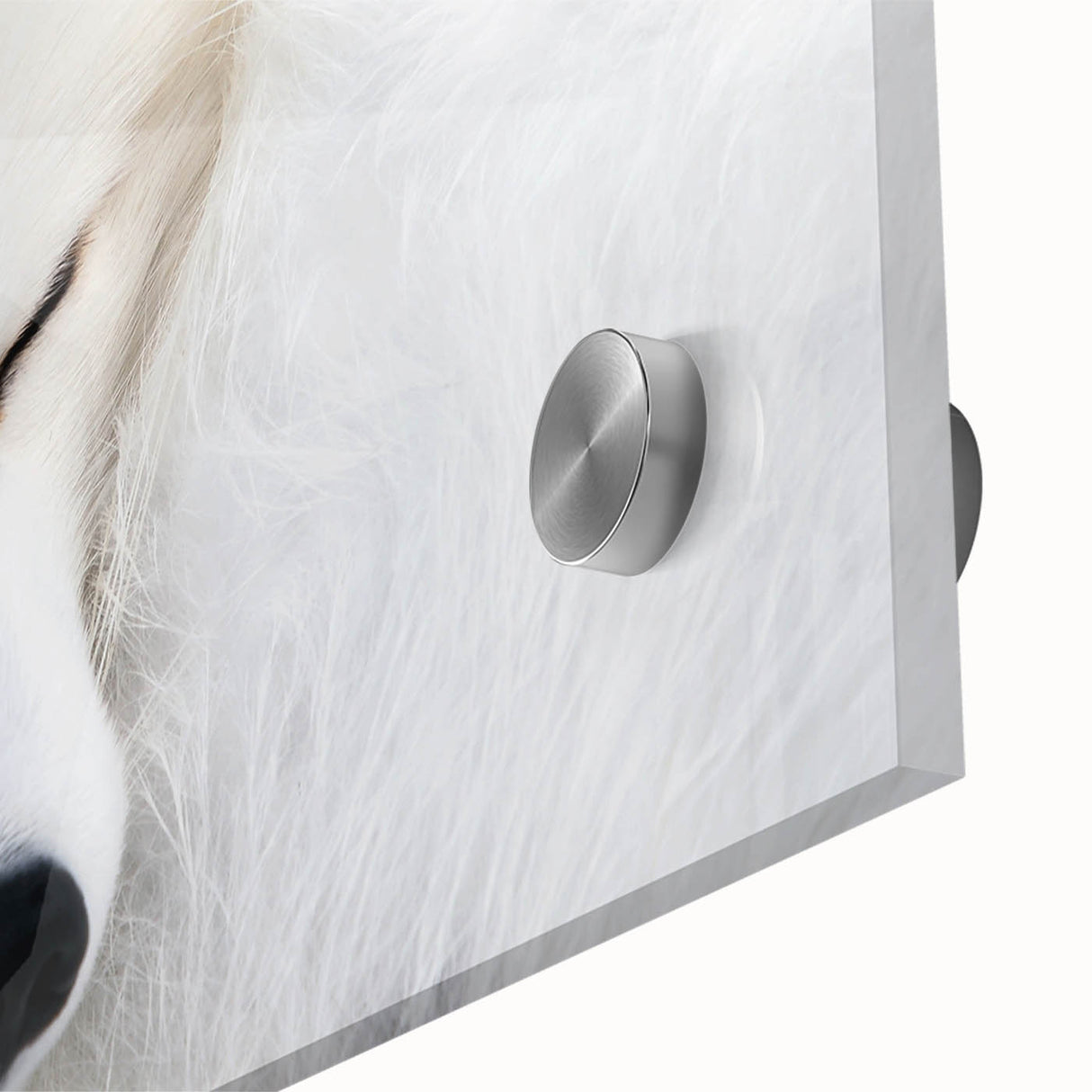 Close-up of a stunning fox design wall art piece, showcasing vibrant colors and intricate details, ideal for animal lovers and home decor enthusiasts. This acrylic glass artwork adds a touch of nature-inspired elegance to any room's ambiance.