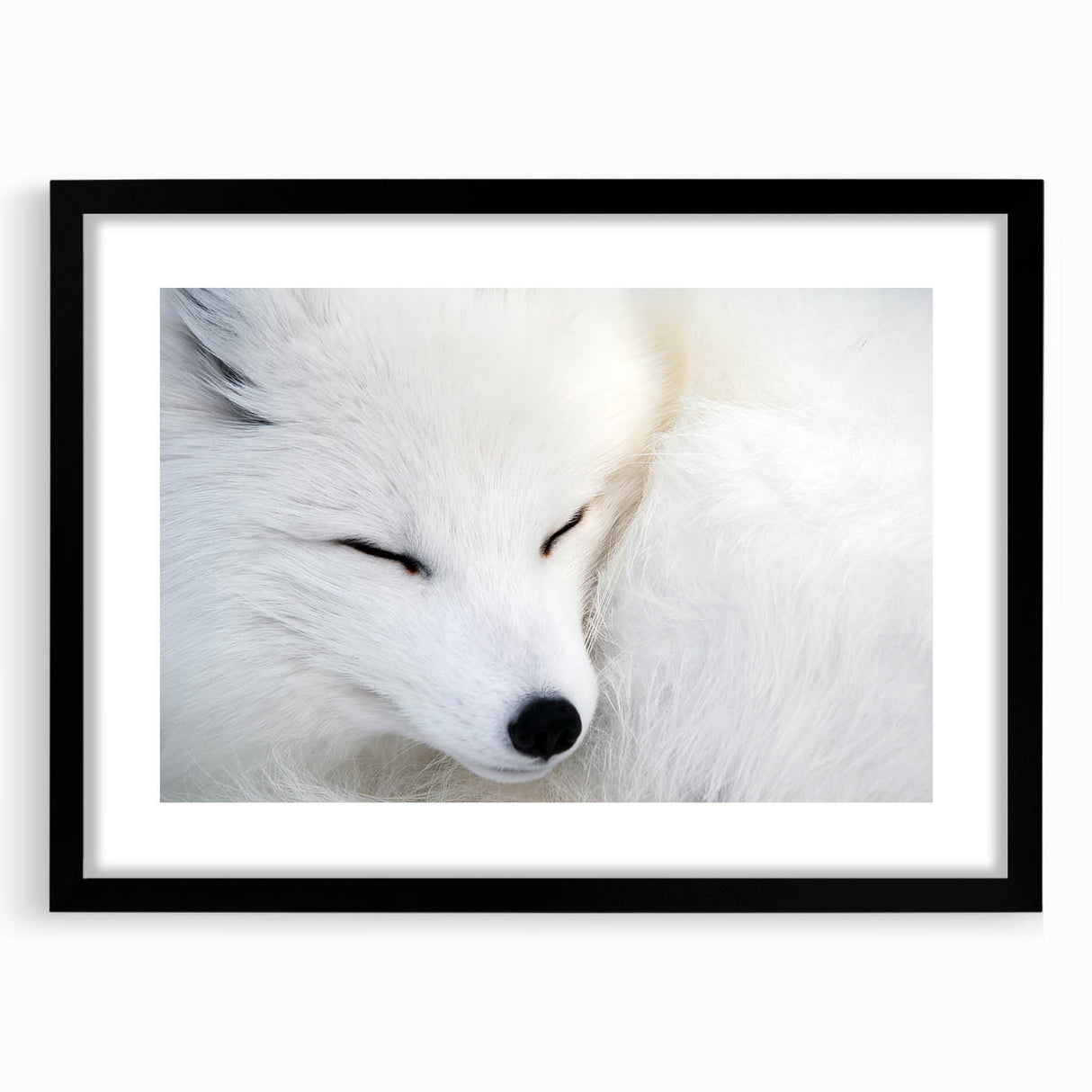 Framed wall art featuring a sleek black mat showcasing a vibrant fox design, perfect for adding a modern touch to wildlife-themed decor in any room.