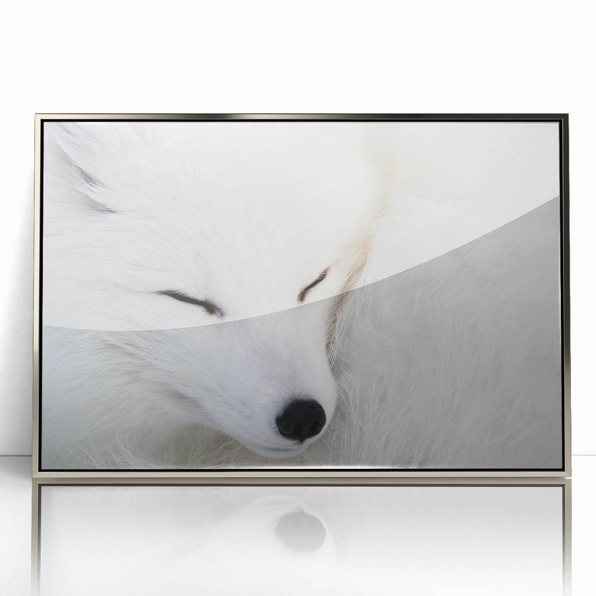 Framed wall art piece showcasing a stunning fox design from the Animals A Wild Life collection, featuring a sleek silver frame and acrylic front for a modern touch.
