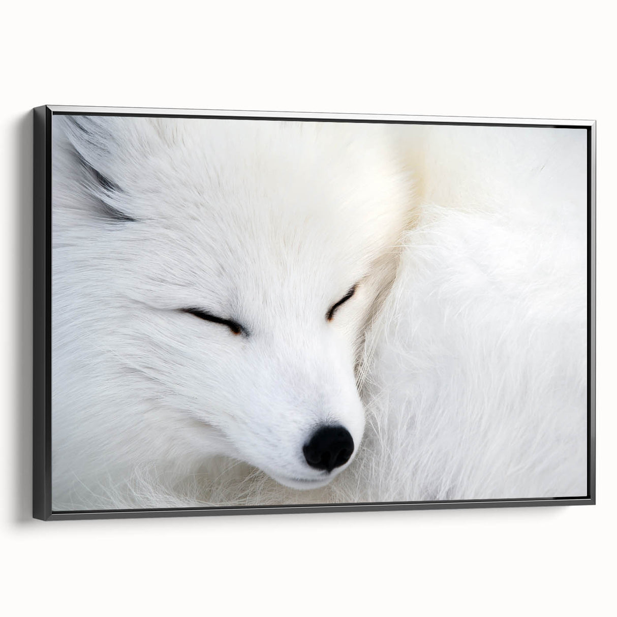 Framed wall art featuring a sleek black fox design, showcasing vibrant colors and intricate details, ideal for adding a contemporary touch to any home decor.