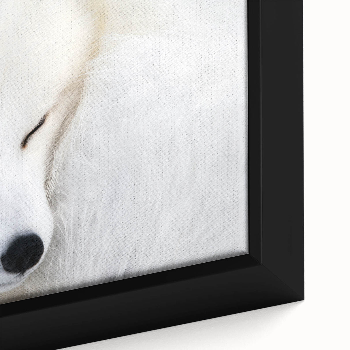 Close-up view of a beautifully framed canvas wall art depicting a vibrant fox design, showcasing intricate details and rich colors, perfect for animal lovers.
