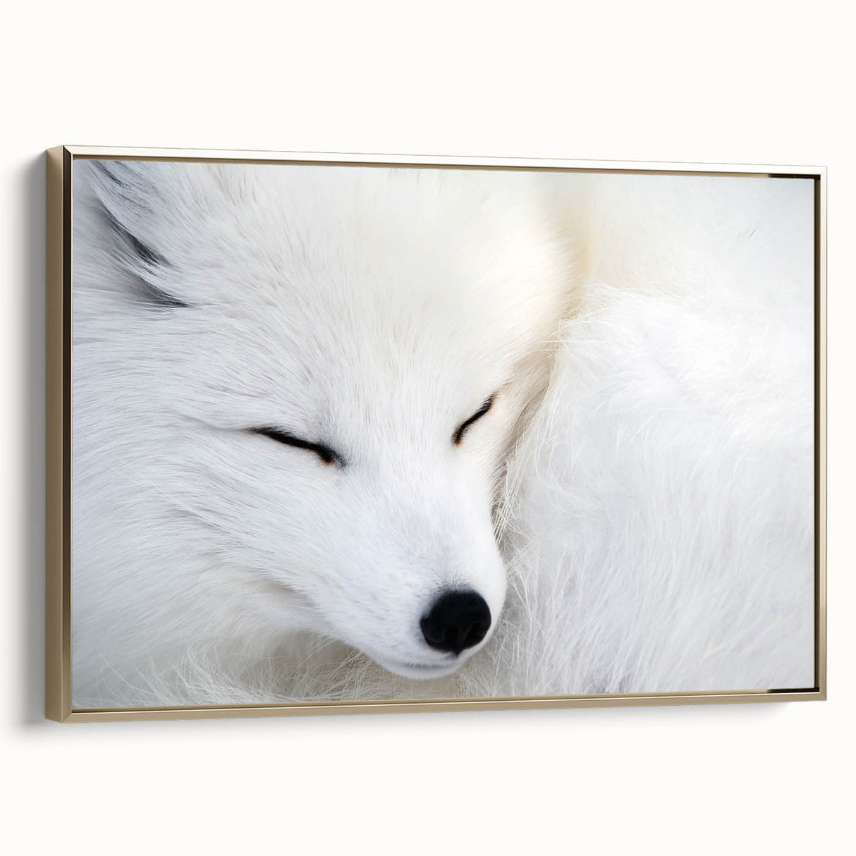 Framed canvas wall art showcasing a striking gold-accented fox design, perfect for wildlife enthusiasts, displayed in a stylish side view. Ideal for home decor.