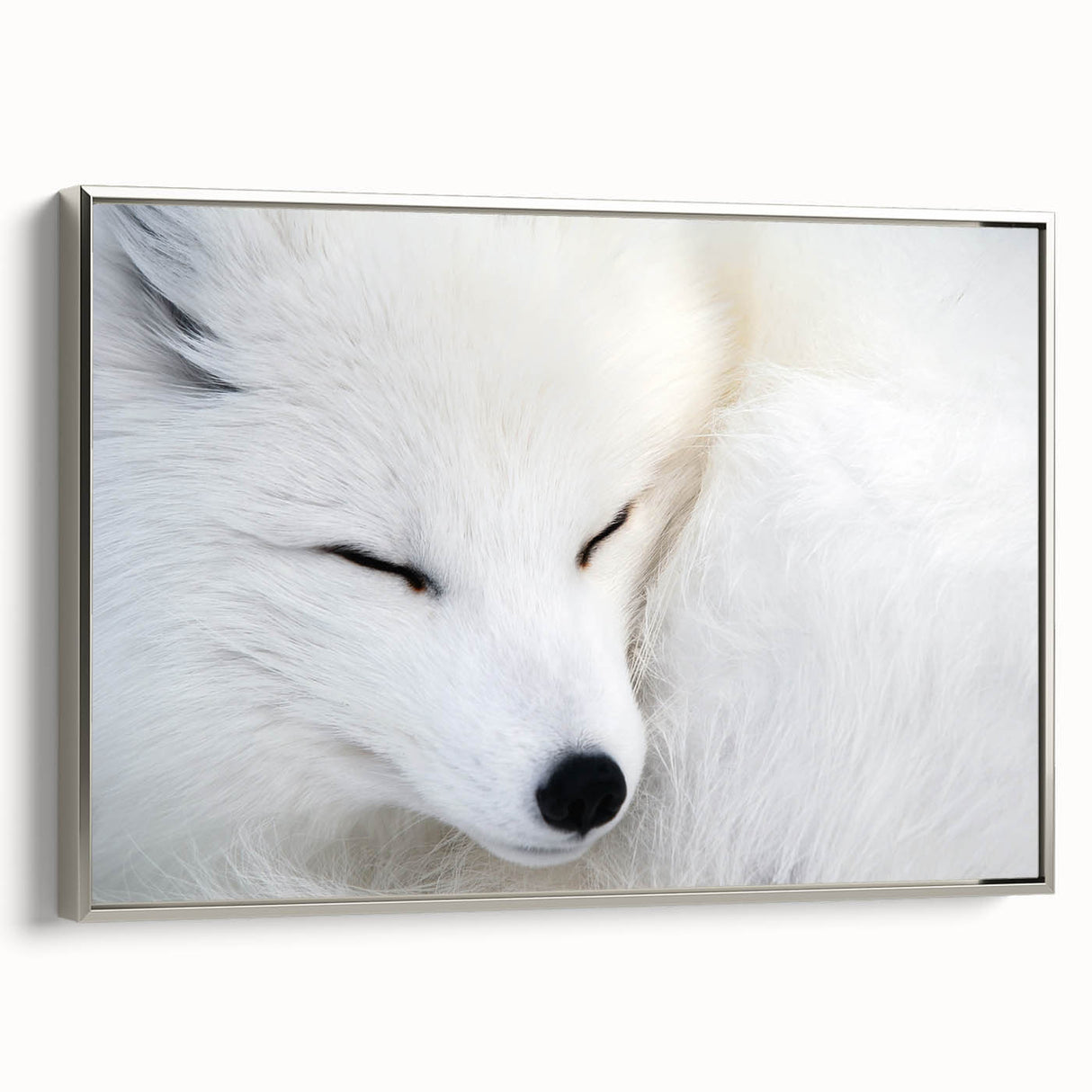 Framed wall art featuring a silver side view of a beautifully designed fox, showcasing intricate details and vibrant colors, perfect for animal lovers and modern decor.