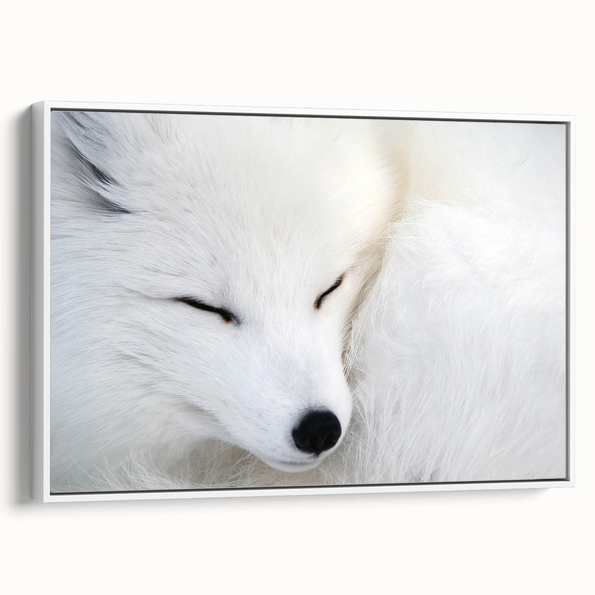 Framed canvas wall art featuring a vibrant fox design in a white frame, showcasing detailed textures and colors, ideal for nature-themed decor.