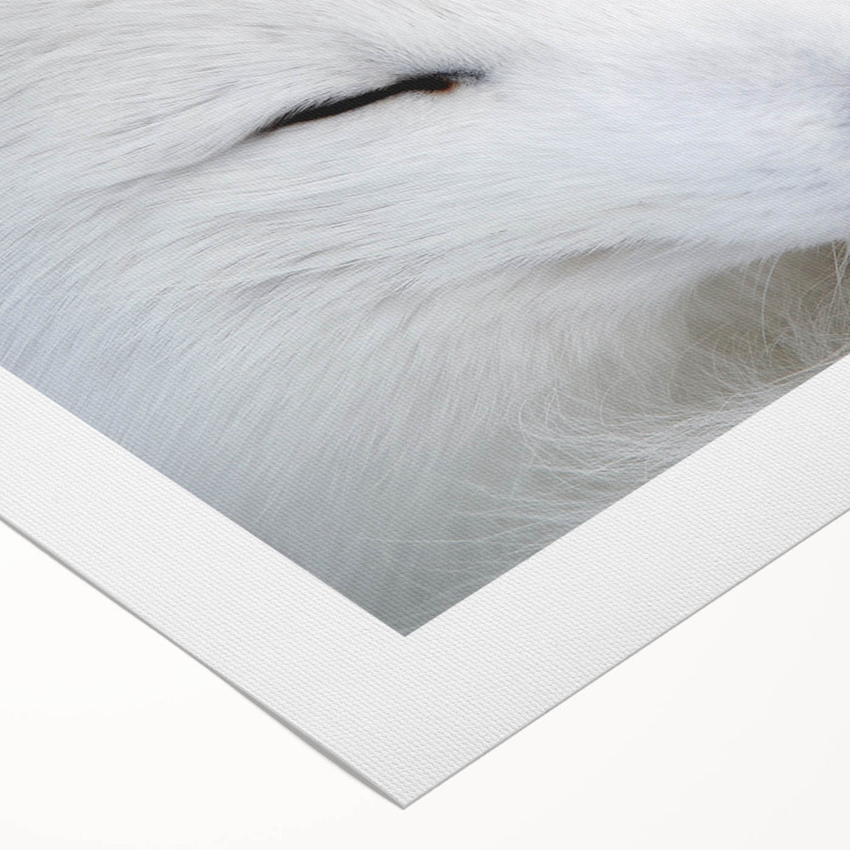 Vibrant rolled canvas showcasing a whimsical fox design in a wild life theme, ideal for animal lovers, beautifully packaged for easy hanging and display.