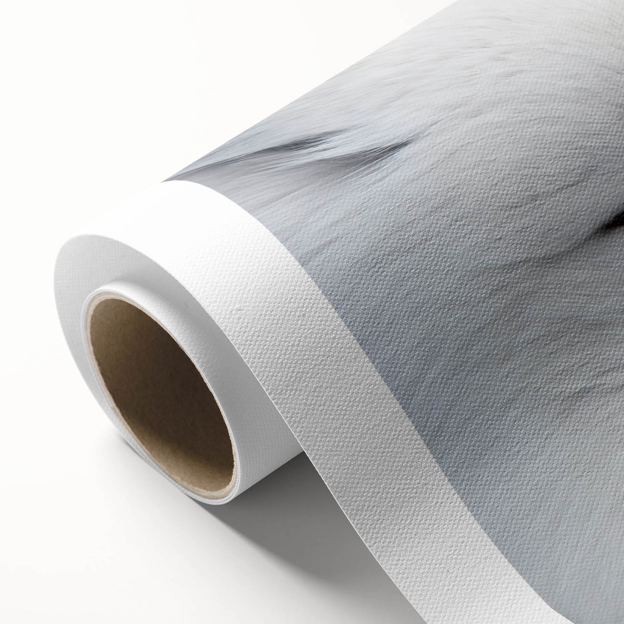 Vibrant rolled canvas art featuring a stylized fox design, part of an eight-piece wildlife collection, showcasing bold colors and intricate details, perfect for animal lovers and modern decor.