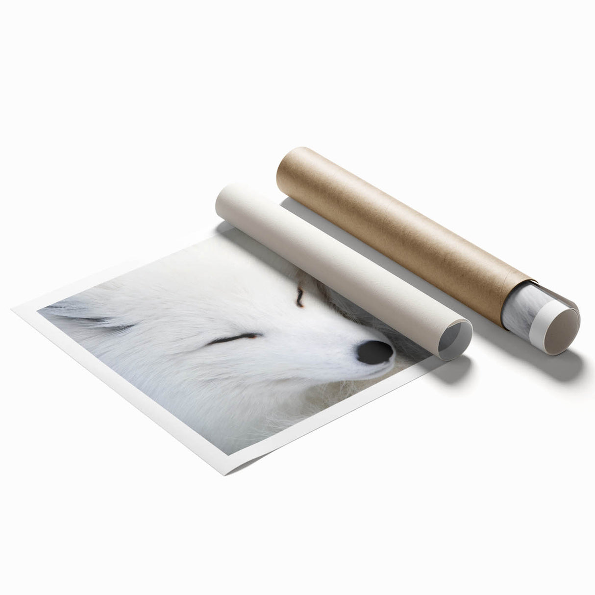 Vibrant rolled print of a fox design from the 'Animals of the Wild' wall art collection, showcasing rich colors and intricate details, ideal for nature-themed decor.