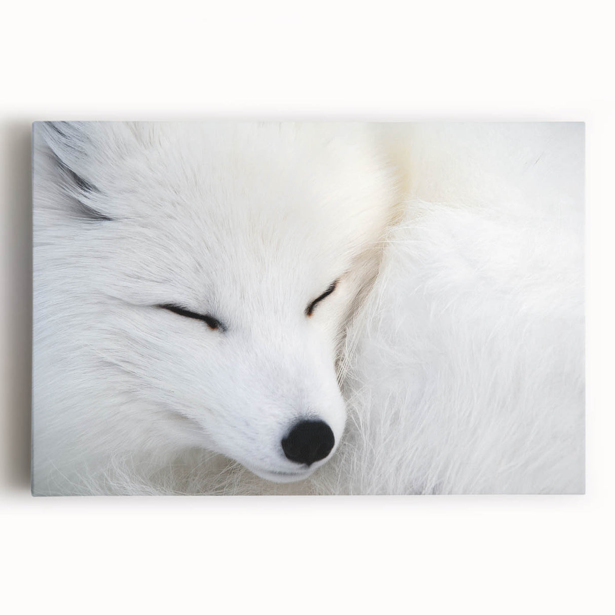 Vibrant stretched canvas wall art featuring a detailed fox design, showcasing rich colors and intricate patterns, perfect for animal lovers and home decor enthusiasts.