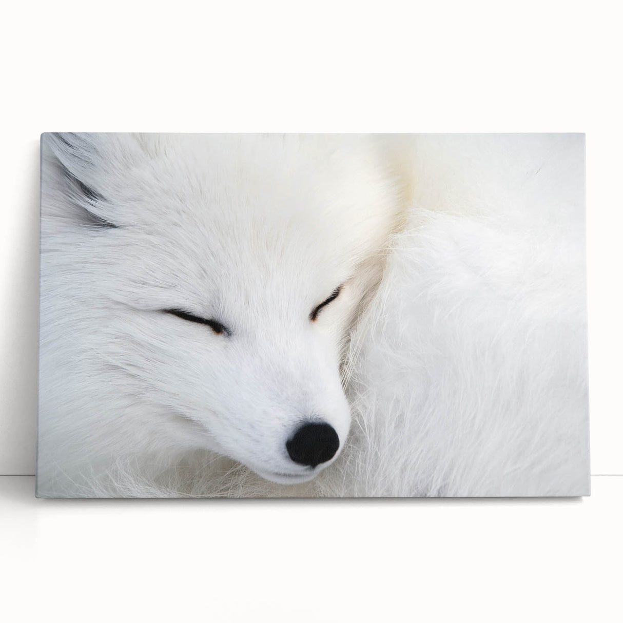 Fox design wall art on stretched canvas, showcasing a vibrant orange fox in a natural setting, perfect for animal lovers and home decor enthusiasts.