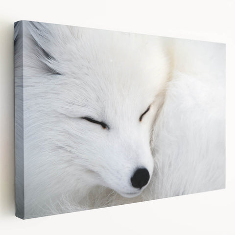 Vibrant stretched canvas wall art featuring a side view of a majestic fox in a natural setting, showcasing rich colors and intricate details, perfect for wildlife enthusiasts.