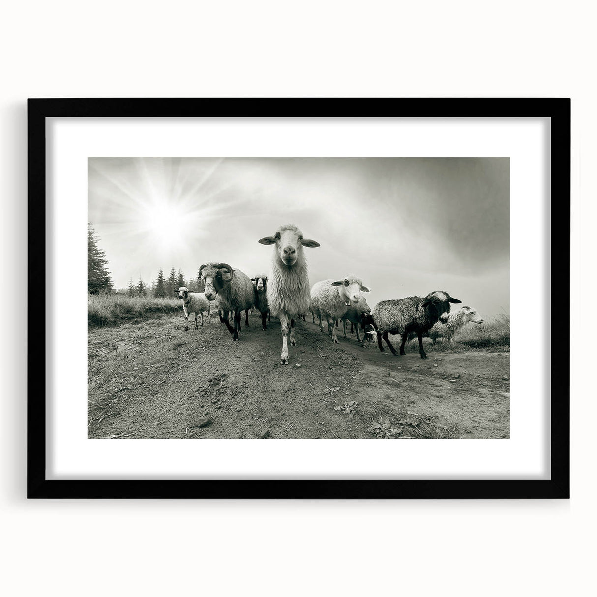 Black-framed wall art featuring a whimsical goat design, part of the "Animals A Wild Life" collection, showcasing vibrant colors and intricate details, perfect for animal lovers and home decor enthusiasts.