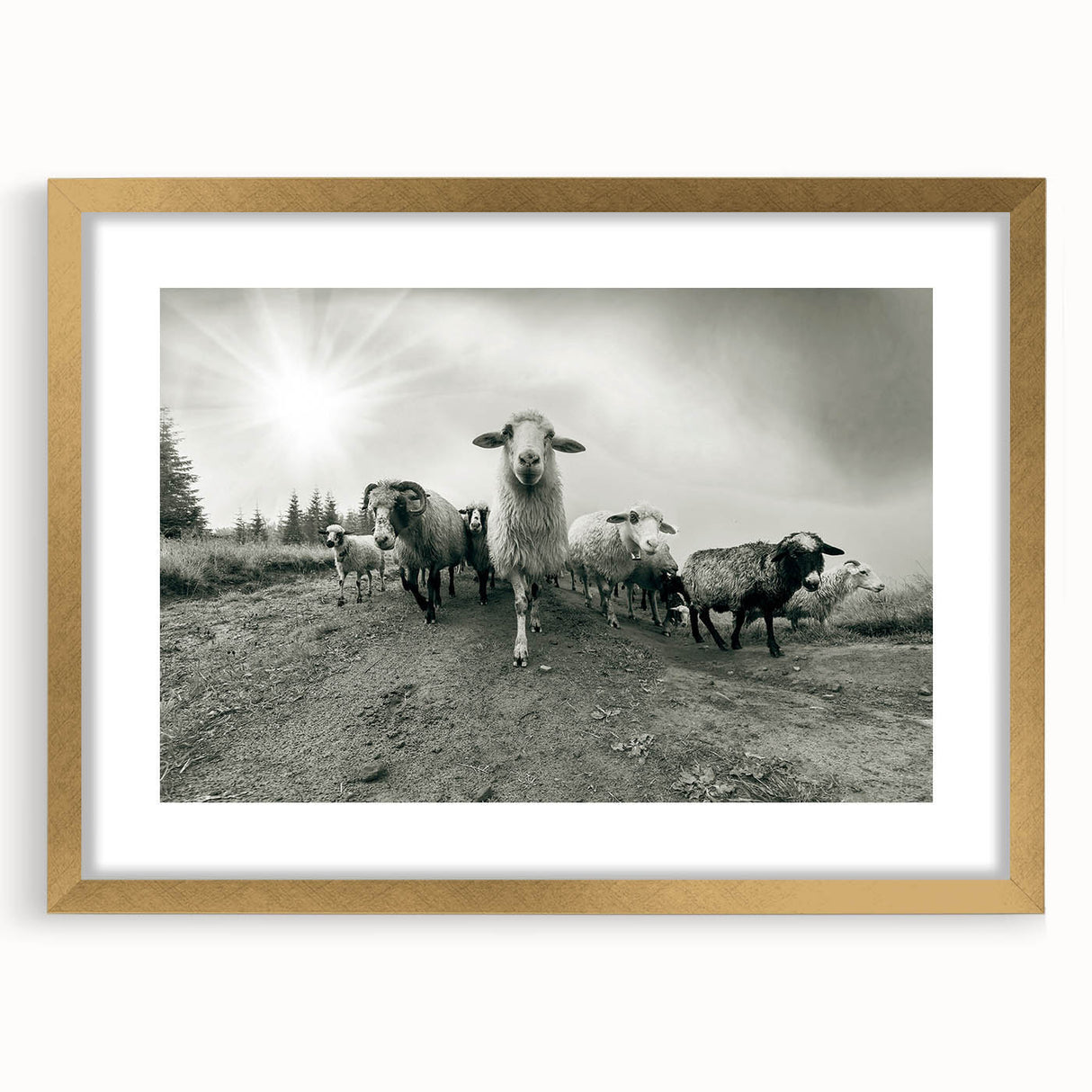 Framed wall art featuring a goat design from the "Animals: A Wild Life" collection, with a gold mat and frame, showcasing intricate details and vibrant colors. Perfect for adding a touch of nature-inspired elegance to any room.