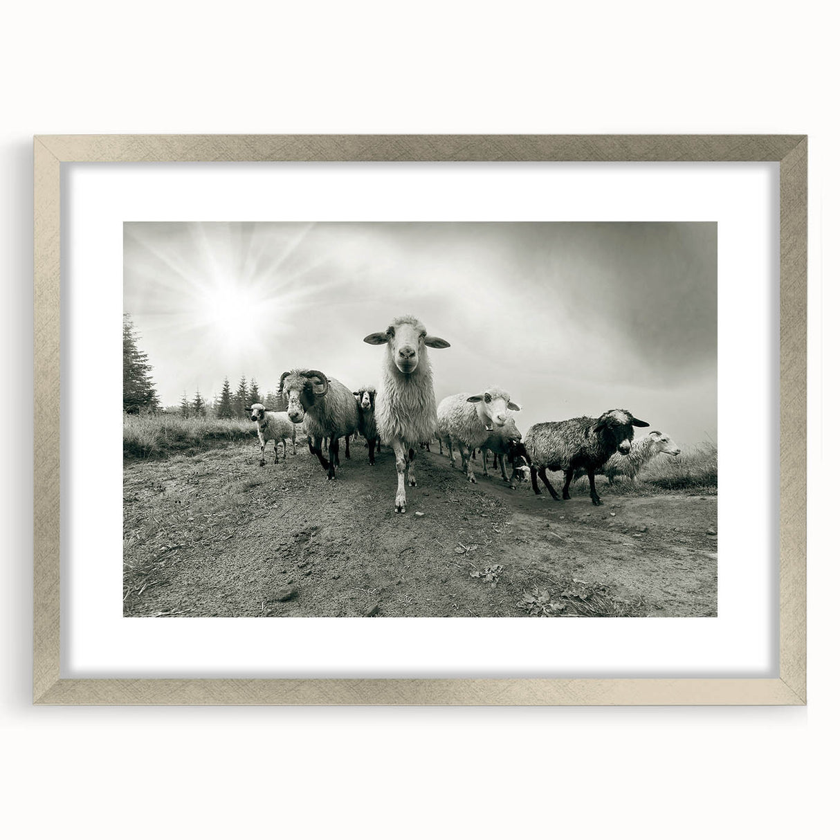 Framed wall art featuring a wild goat design in a silver frame with a mat, showcasing intricate details and vibrant colors, perfect for nature-themed decor.