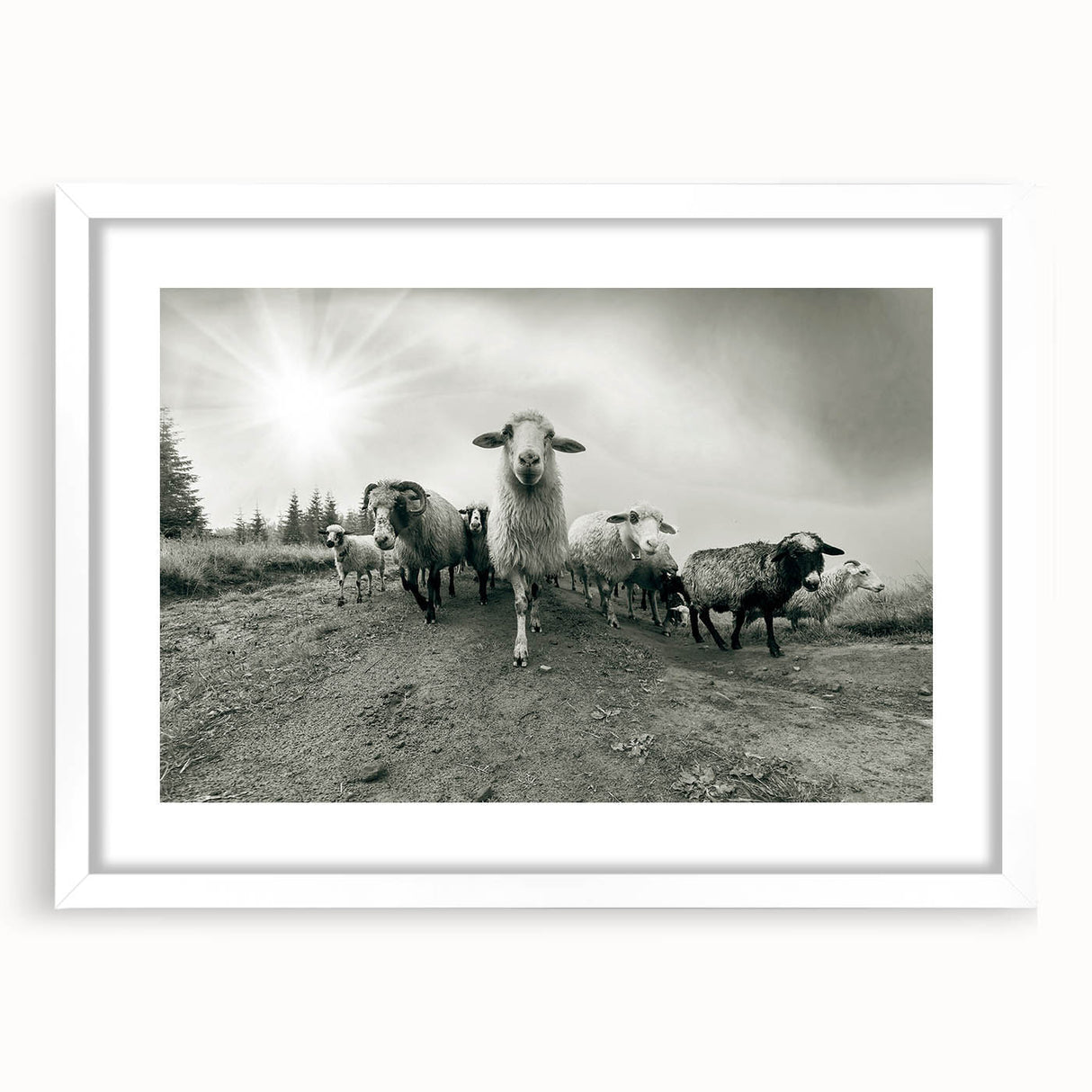 Framed wall art featuring a detailed illustration of a goat in a wild landscape, presented in a sleek white frame with a mat, ideal for home decor enthusiasts.