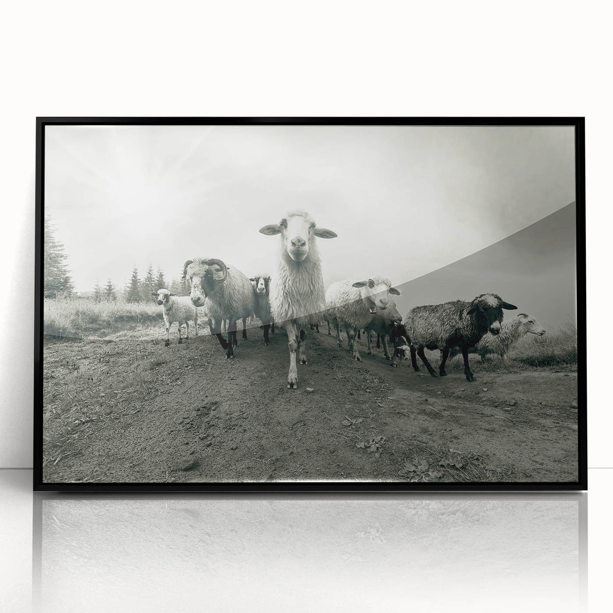 Framed wall art featuring a wild goat design in acrylic, showcasing intricate details and vibrant colors, set against a sleek black frame for a modern aesthetic. This artwork adds a touch of nature-inspired decor to any space, perfect for animal lovers and art enthusiasts alike.