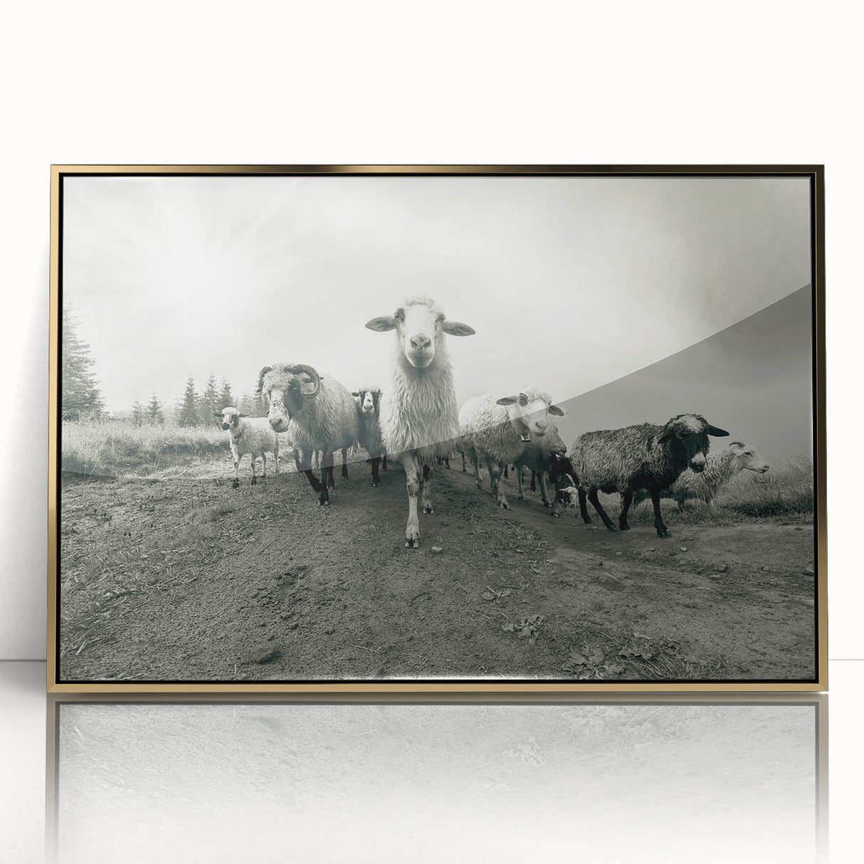 Framed wall art featuring a gold-accented goat design, showcasing a modern aesthetic suitable for animal lovers and home decor enthusiasts. The acrylic frame enhances the artwork's vibrant colors, making it a striking focal point for any room. Perfect for adding a touch of wildlife charm to your space.