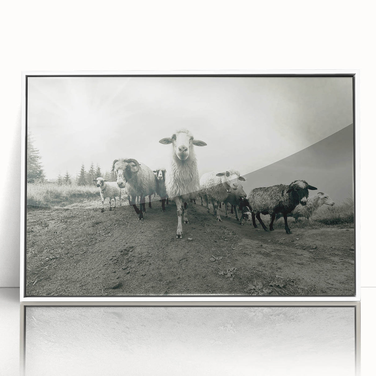 Framed acrylic wall art featuring a whimsical goat design from the 'Animals of the Wild' collection, set against a clean white background, ideal for animal lovers.