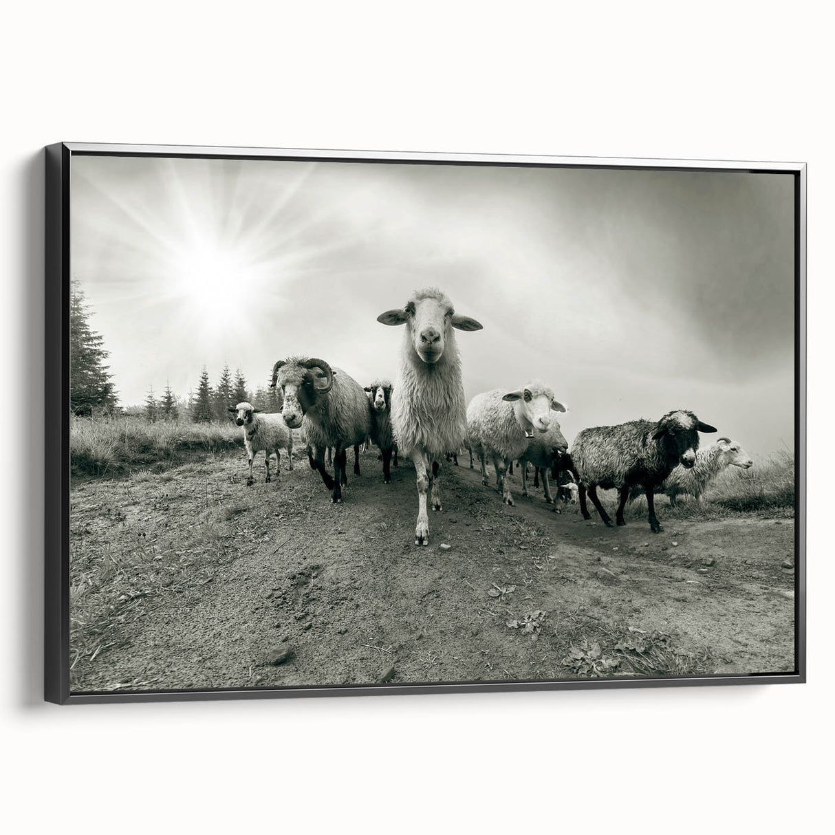 Framed wall art featuring a striking goat design in black and white, showcasing intricate details and textures, perfect for wildlife enthusiasts and modern decor.