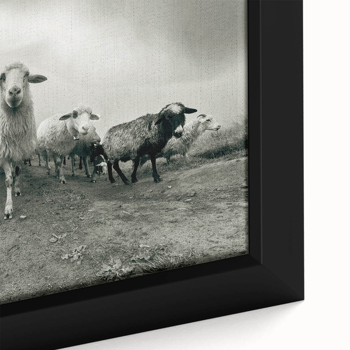 Close-up of a framed canvas wall art piece showcasing a vibrant goat design, featuring intricate details and earthy colors, perfect for animal lovers and home decor.