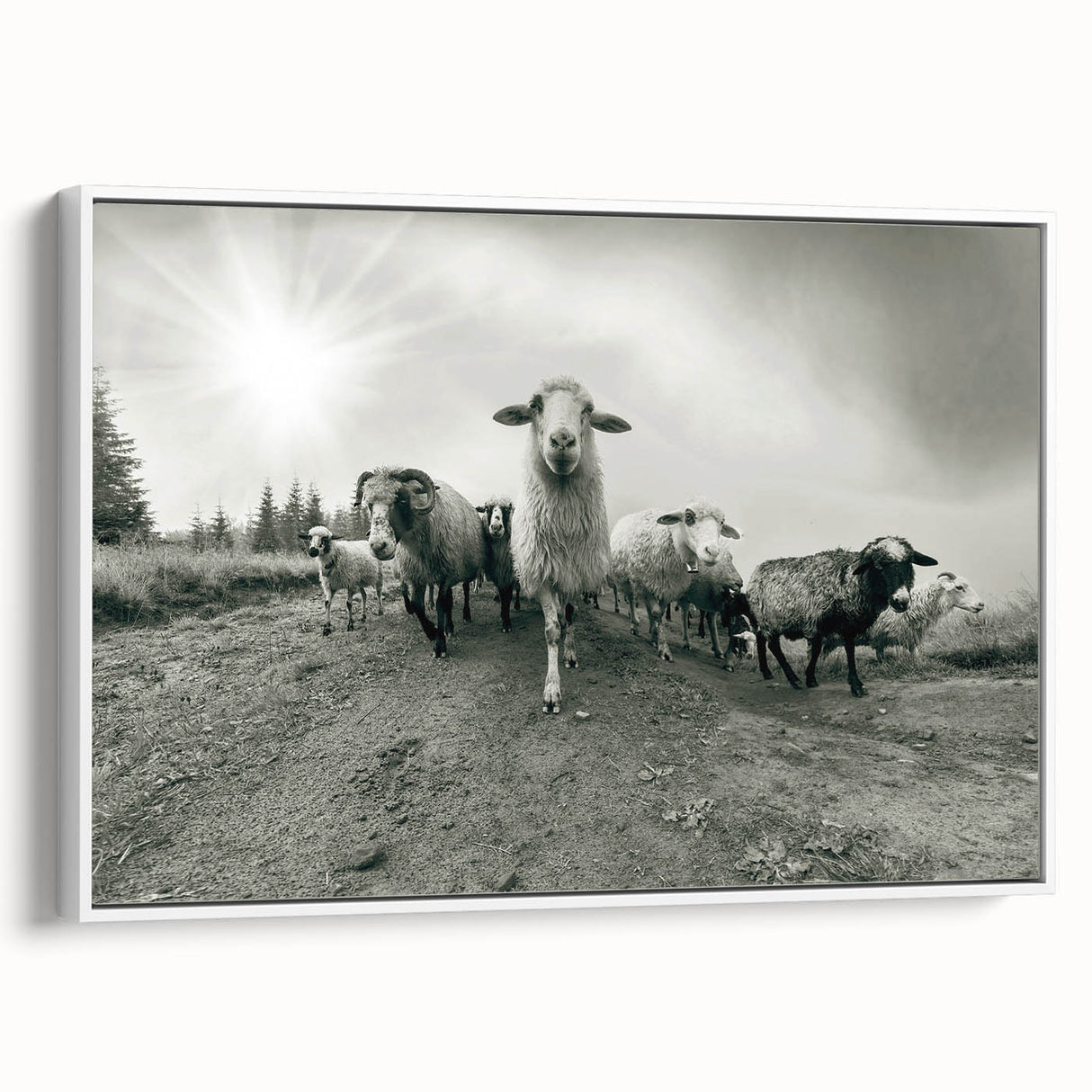 Framed wall art showcasing a stylized goat design against a white background, ideal for animal lovers and modern decor enthusiasts, emphasizing unique artistry and home aesthetics.