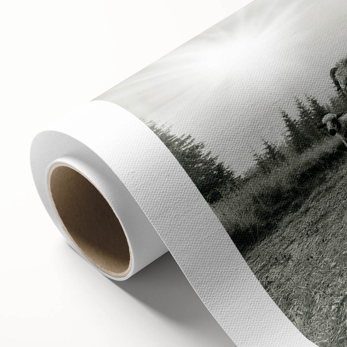 Colorful rolled canvas wall art featuring a whimsical goat design from the 'Animals A Wild Life' collection, showcasing intricate details and vibrant hues, ideal for enhancing home decor.