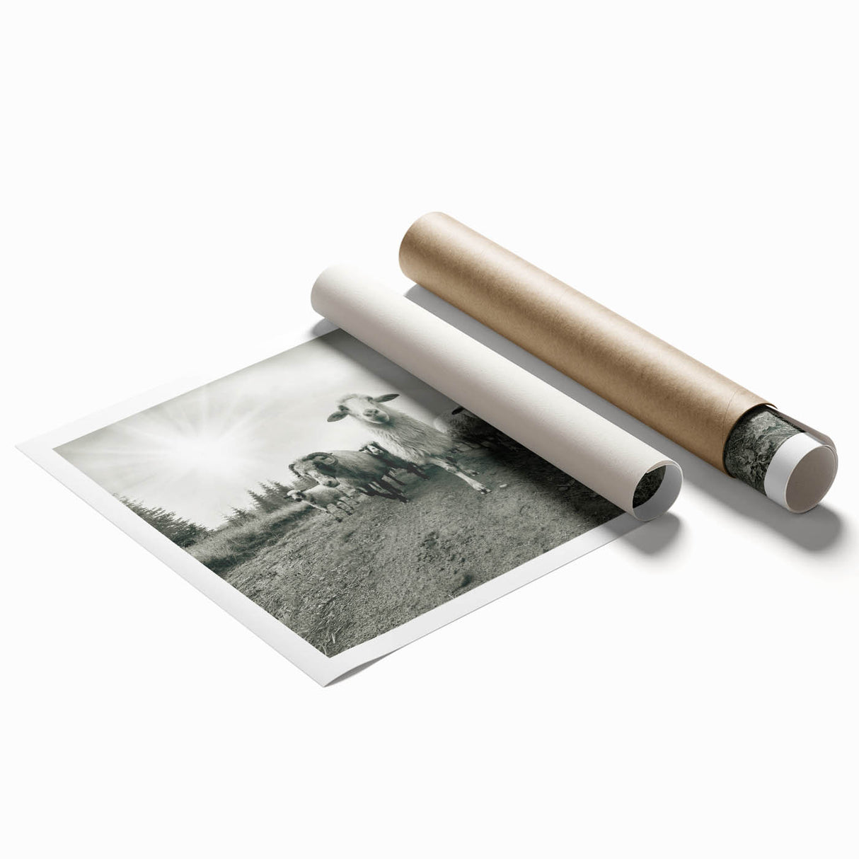 Rolled print showcasing a vibrant goat design in a wild-life theme, featuring intricate details and bold colors, perfect for animal lovers and home decor enthusiasts.