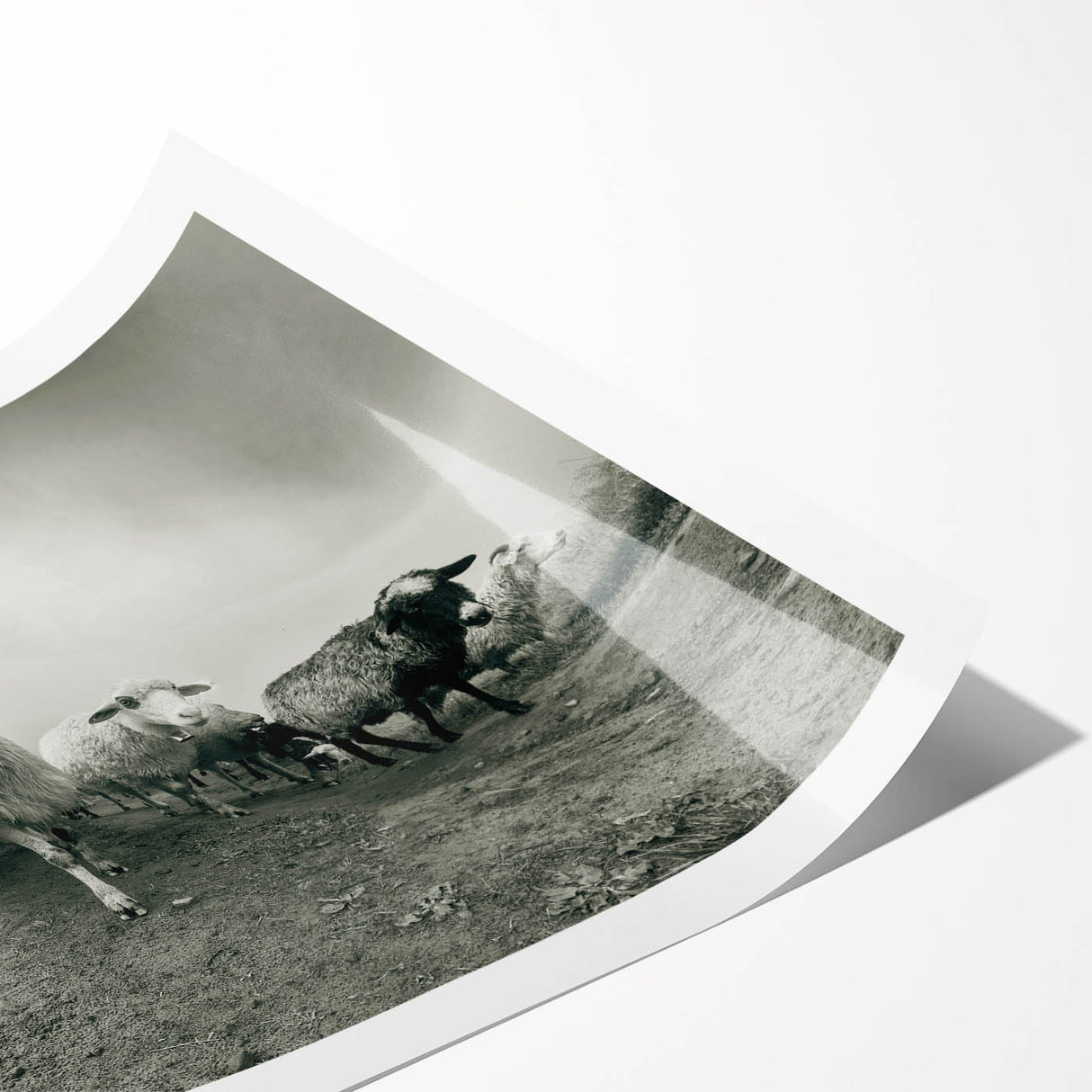 Goat-themed wall art print showcasing a vibrant, colorful design of a goat in a natural setting, rolled up for easy shipping and display. Perfect for animal lovers and home decor enthusiasts.