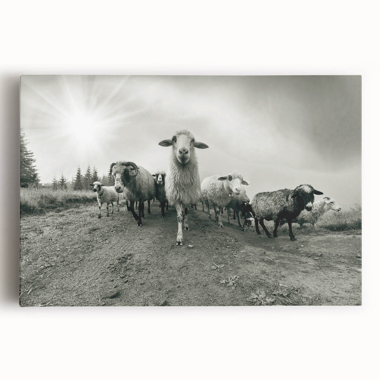 Stretched canvas wall art featuring a vibrant goat design, showcasing intricate details and colors, perfect for animal lovers and home decor enthusiasts.