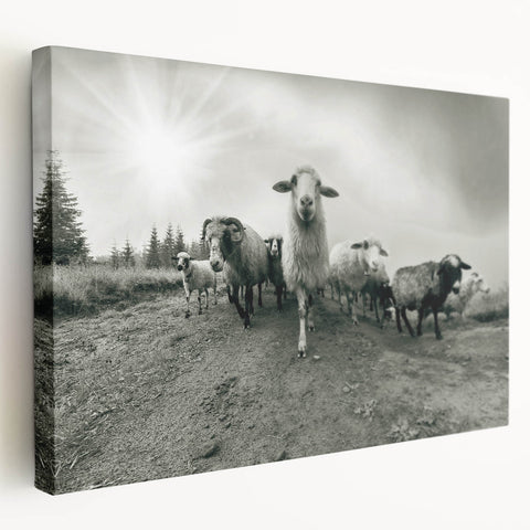 Stretched canvas wall art showcasing a wild goat design with vibrant colors, perfect for adding a touch of nature to home decor. Ideal for wildlife enthusiasts.