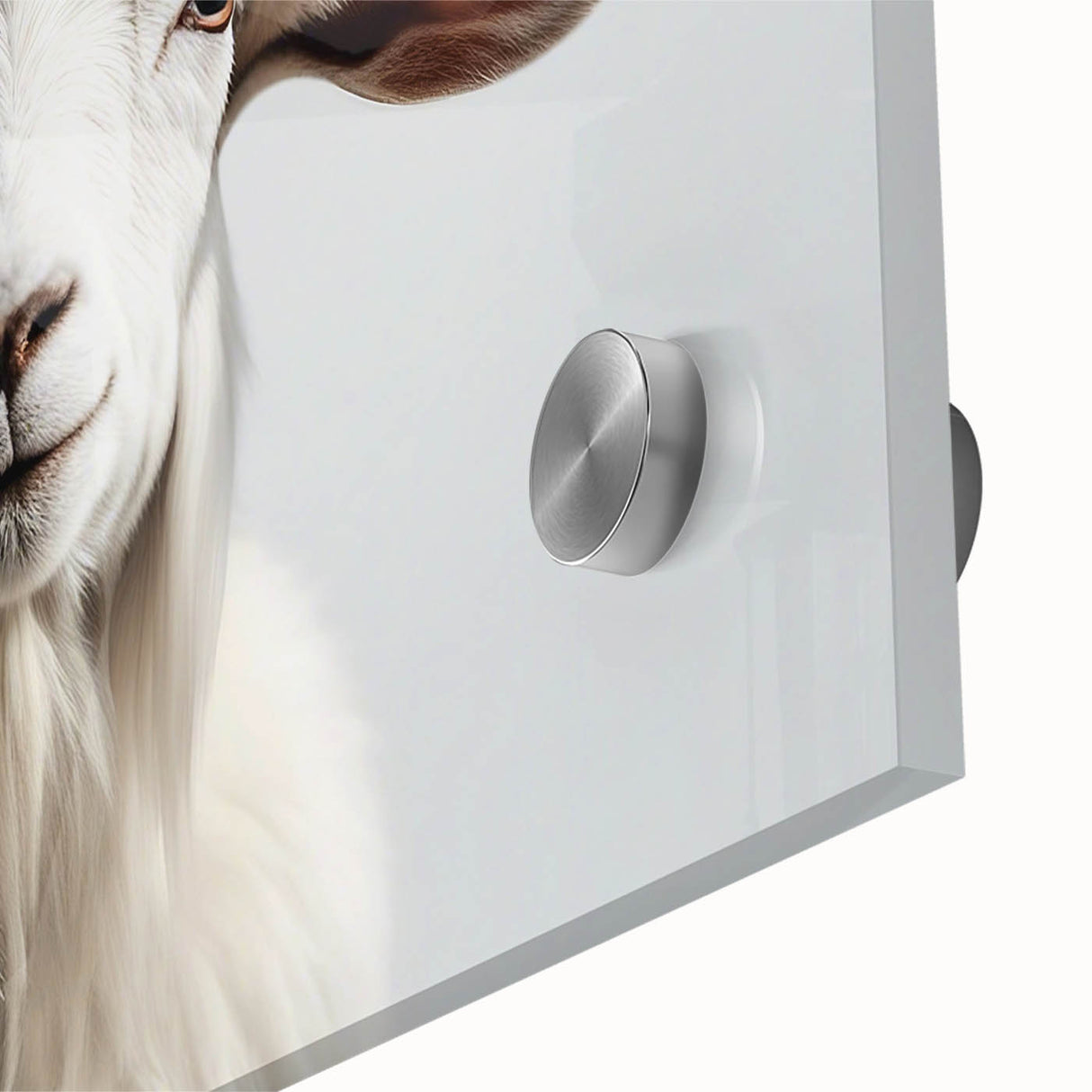 Close-up of a vibrant goat wall art design, showcasing intricate details and textures on acrylic glass, ideal for animal lovers and modern decor enthusiasts.