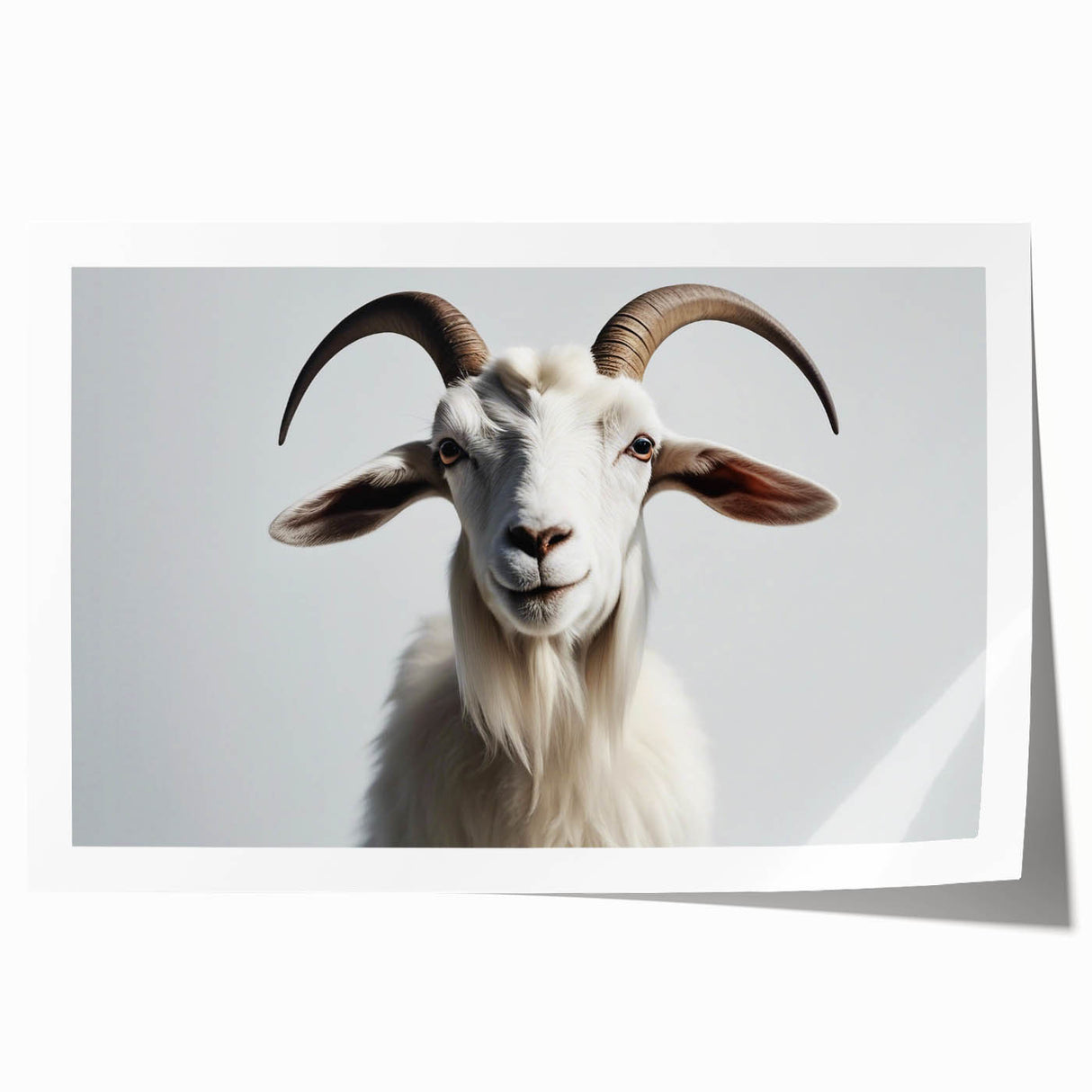 Wildlife goat design wall art print showcasing vibrant colors and intricate details, rolled for easy display and shipping, perfect for animal lovers’ decor.