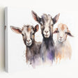 Stretched canvas wall art showcasing a vibrant goat design, featuring rich colors and intricate details, perfect for animal lovers and modern decor enthusiasts.